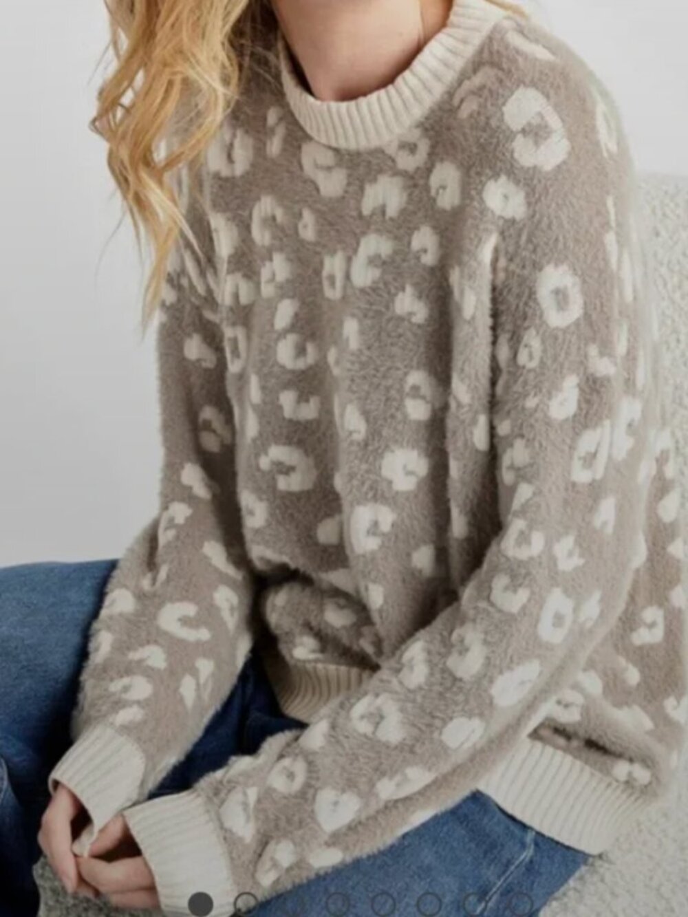 Splendid Beige & Cream Leopard-Print Crewneck Sweater size SM
